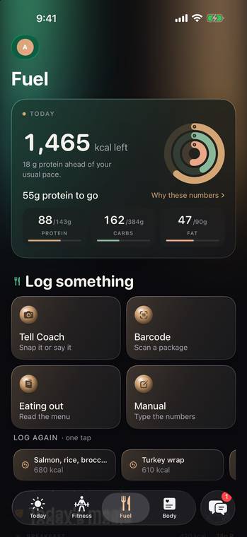 Onyx Fuel screen: what's left to eat today and protein still to go